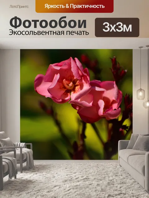 Фотообои Сад
