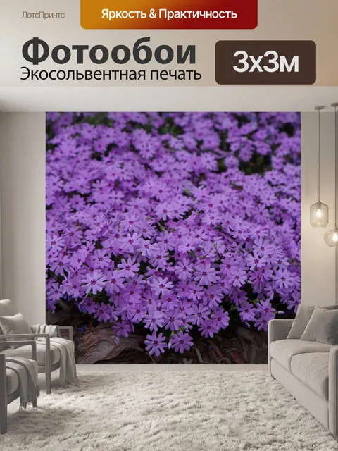 Фотообои Цветы