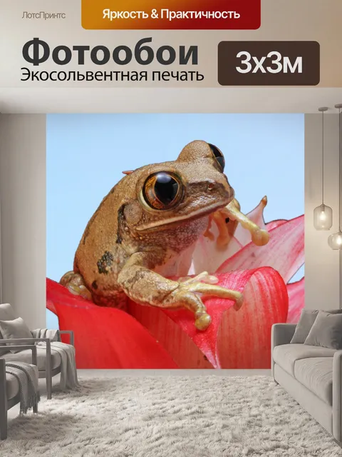 Фотообои Лягушка