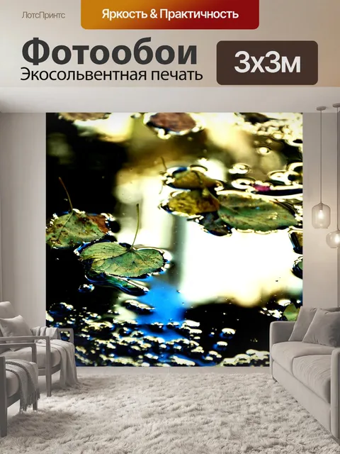 Фотообои Лужа