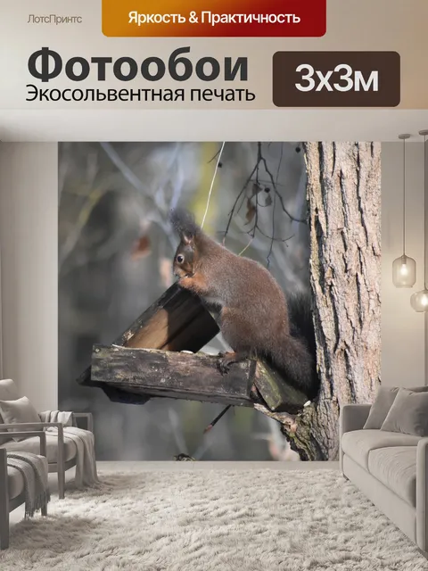 Фотообои Белка