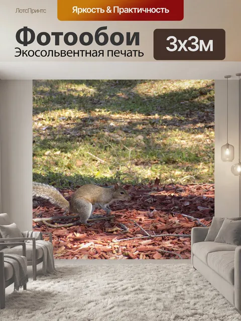 Фотообои Природа