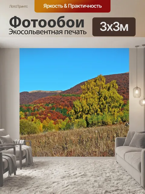 Фотообои Лес