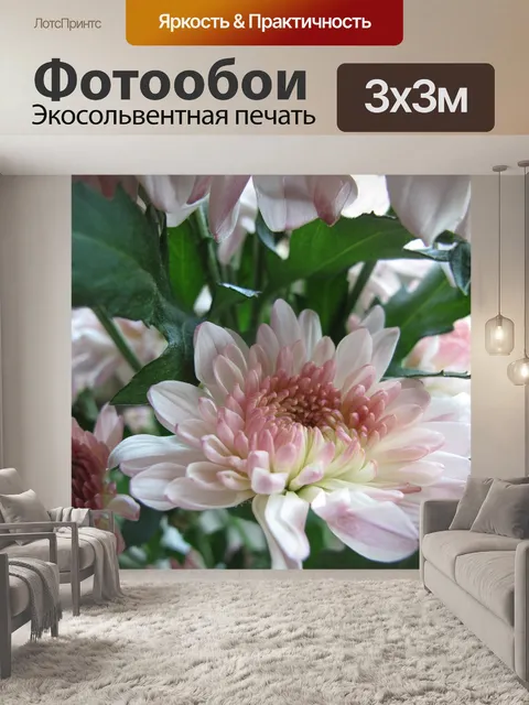 Фотообои Красивый розовый цветок, ромашка