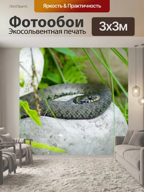 Фотообои Болтать