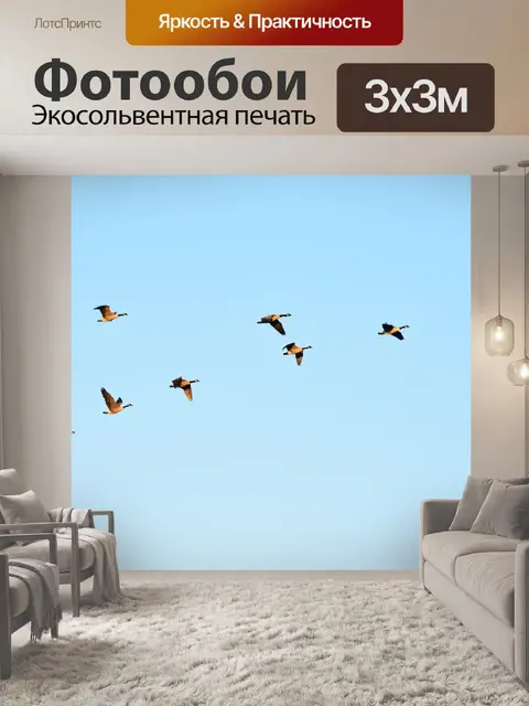 Фотообои Гуси