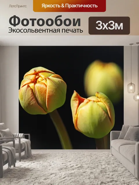 Фотообои Тюльпаны