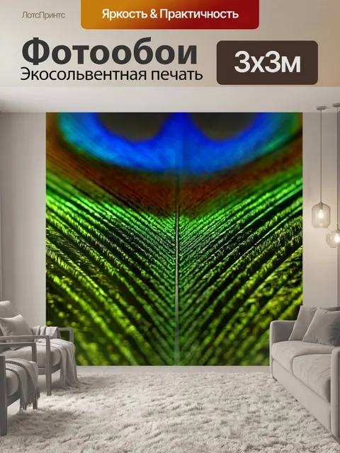 Фотообои Павлинье перо перо цвета красочные