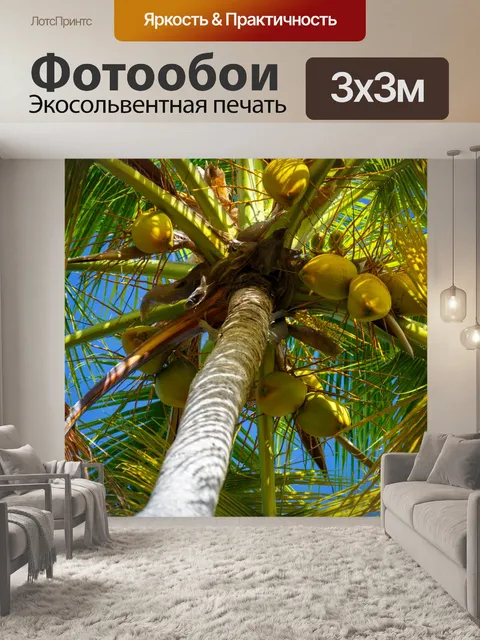 Фотообои Тропические деревья пальмы