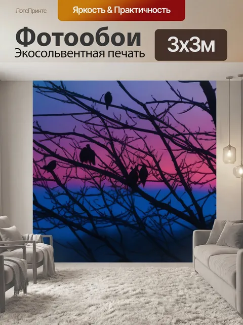 Фотообои птицы, собирающиеся на ветвях деревьев перед рассветом