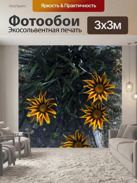 Фотообои Оранжевый и желтый Дейзи