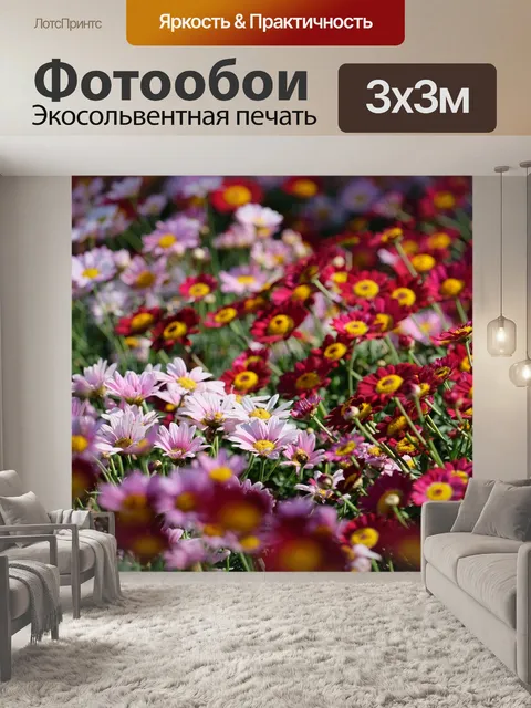 Фотообои Маргаритки