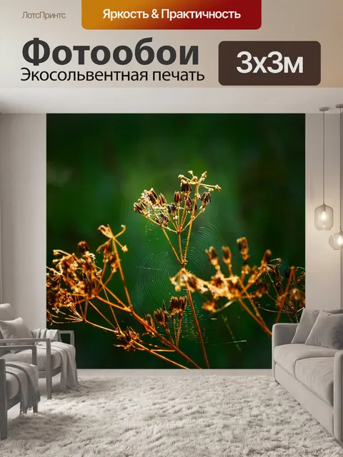 Фотообои Цветы