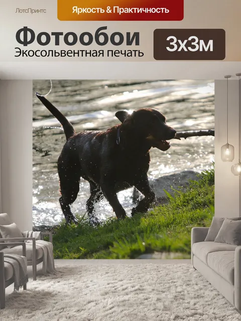 Фотообои Вода
