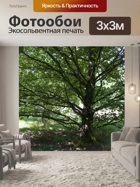 Фотообои Природа