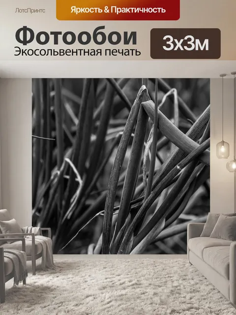 Фотообои Природа
