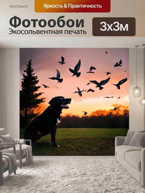 Фотообои лабрадор ретривер, с интересом наблюдающий за стаей птиц, взлетающих с деревьев к закату