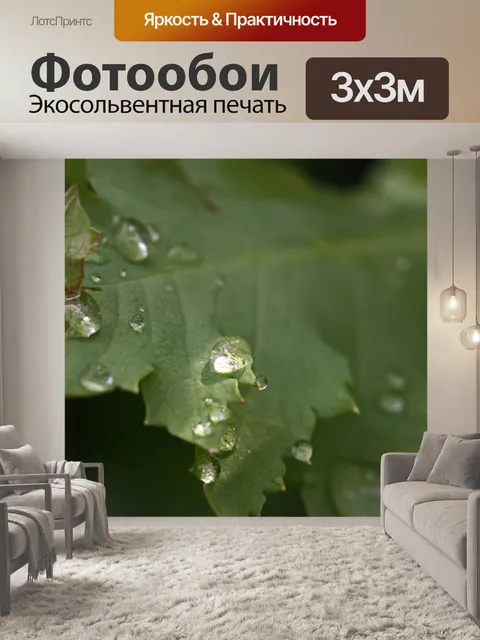 Фотообои мерцающая вода на листе мака