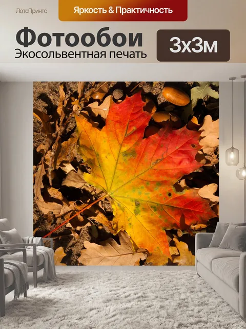 Фотообои Лист