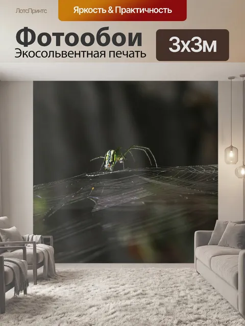 Фотообои Насекомое