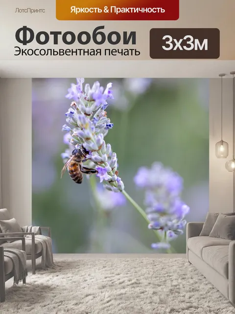 Фотообои Пчела