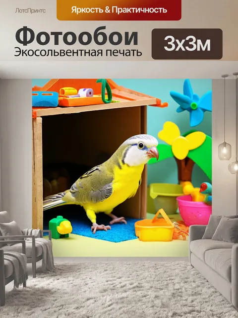 Фотообои динамичная сцена с кореллой, исследующей свой дом с игрушками и аксессуарами для птиц