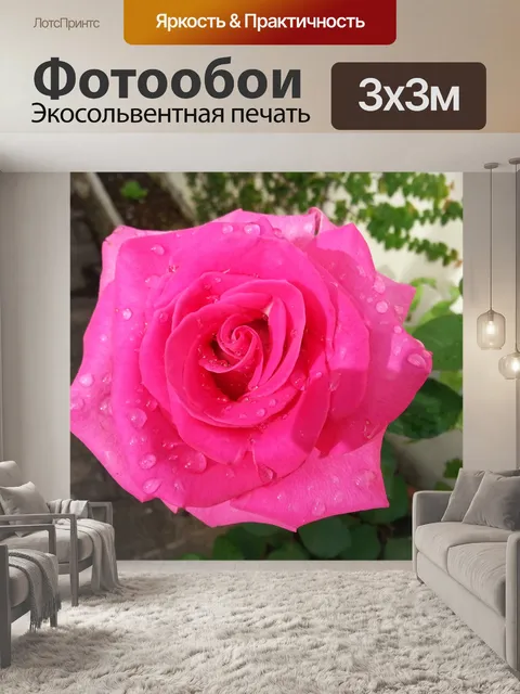 Фотообои Розовая роза