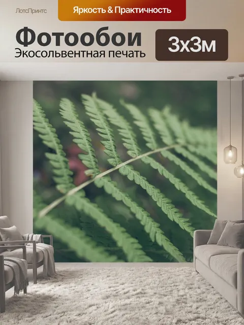 Фотообои Папоротник