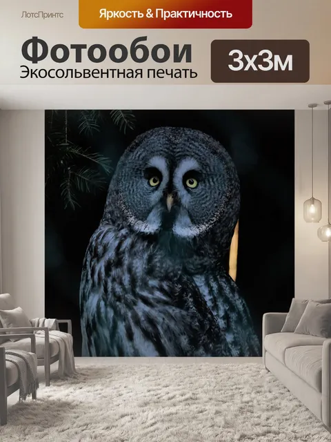 Фотообои Птица
