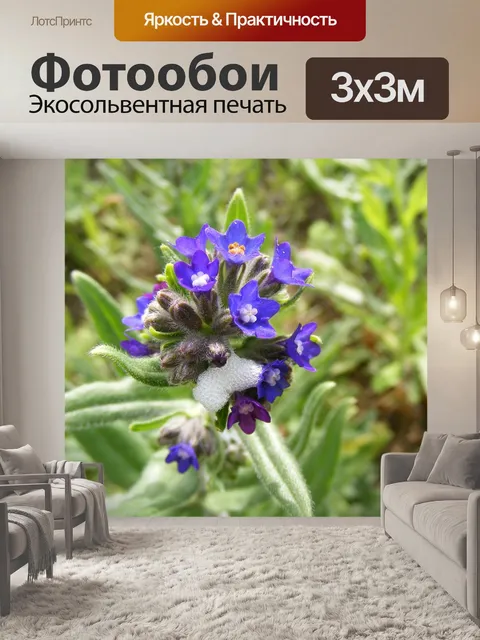 Фотообои Цветы