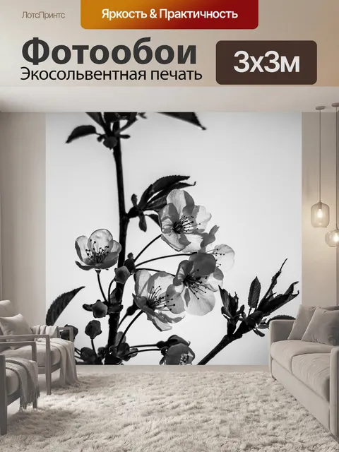 Фотообои Черное и белое