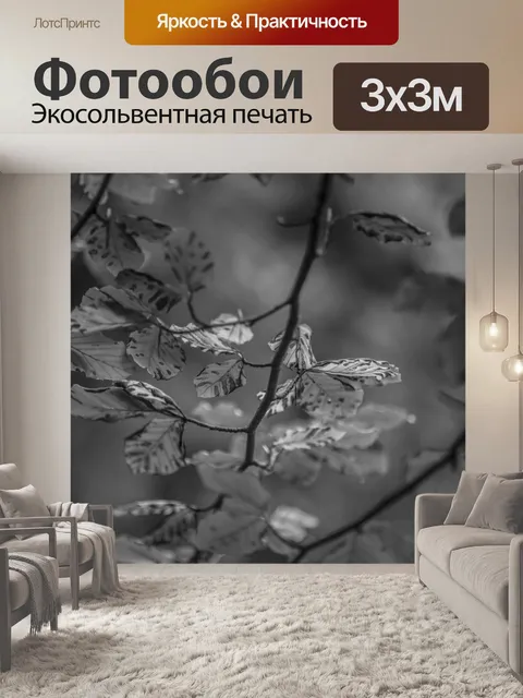 Фотообои лист