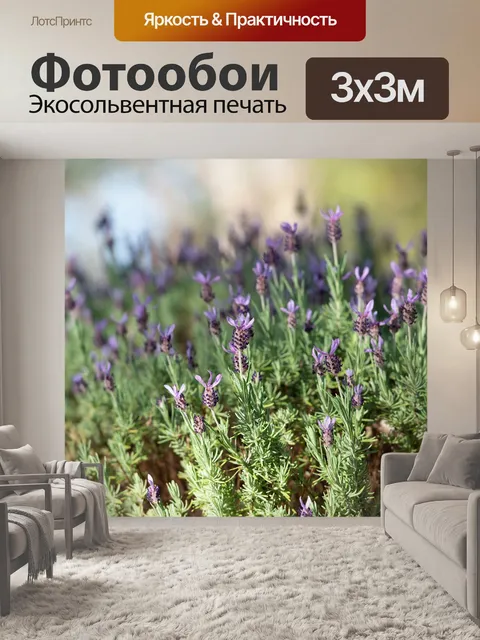 Фотообои Лаванда