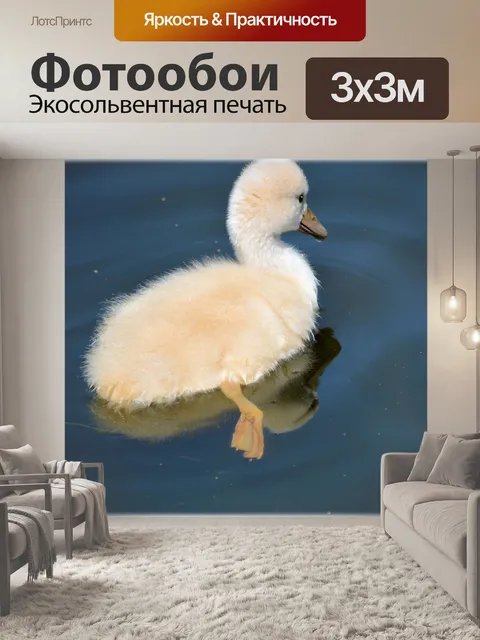 Фотообои Семья лебедей 3