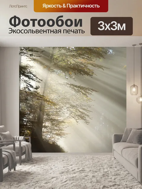 Фотообои Подниматься