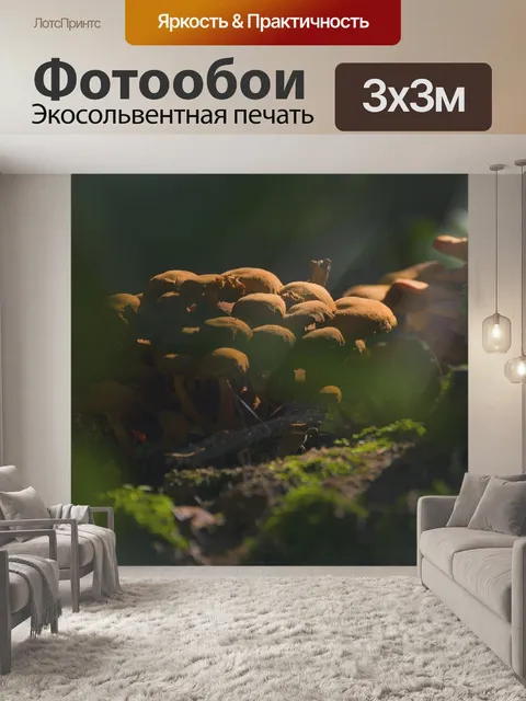 Фотообои Грибы
