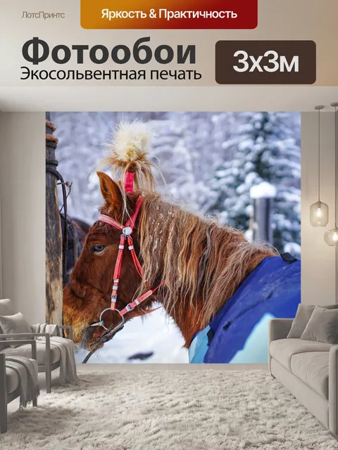 Фотообои Лошадь
