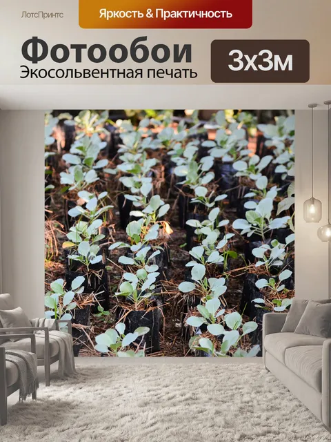 Фотообои Цветы