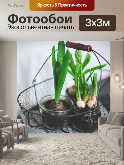Фотообои Цветы