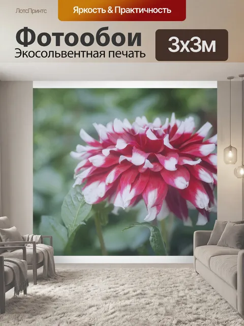Фотообои Цветок георгина винтажное фото