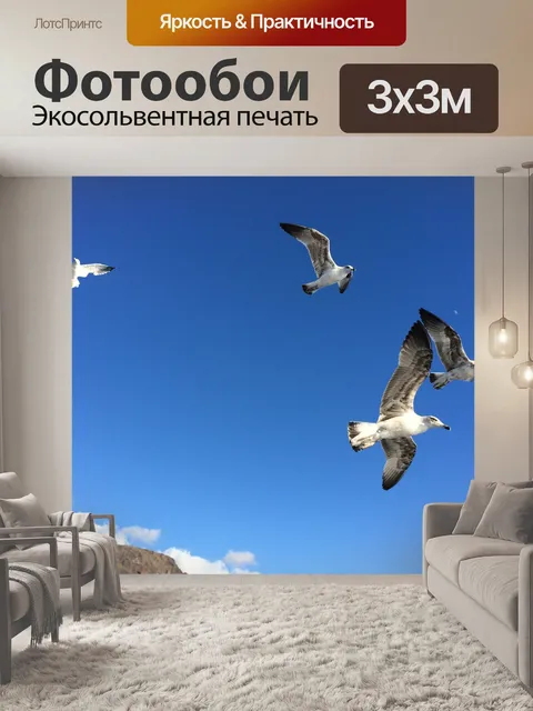 Фотообои Чайки