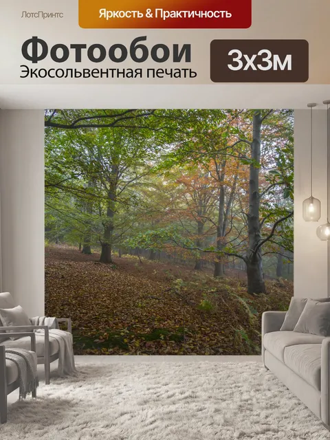 Фотообои Туманный лес