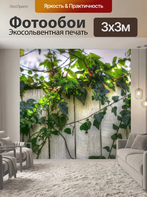 Фотообои Плющ на белом заборе