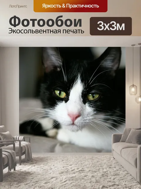 Фотообои Кошка