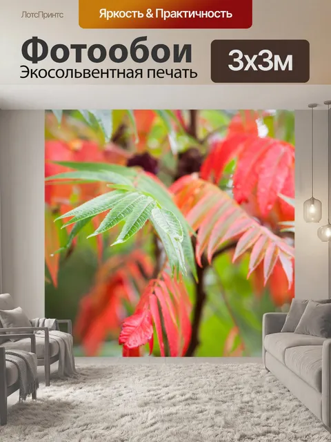 Фотообои Макро Осенние цветы
