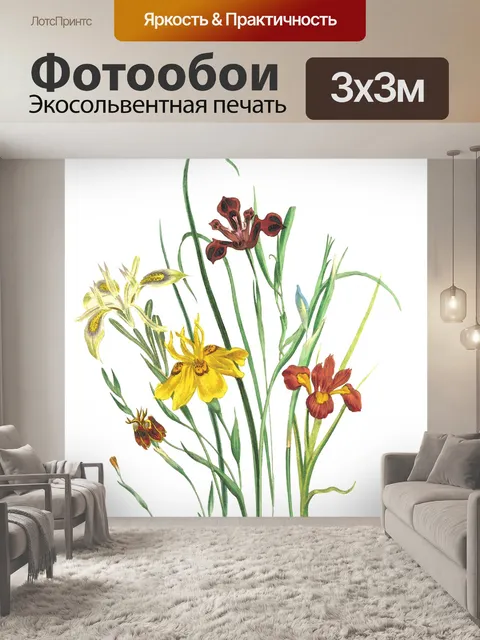 Фотообои цветок