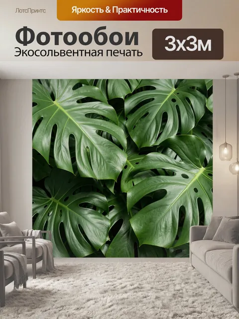 Фотообои Тропические листья монстеры крупным планом