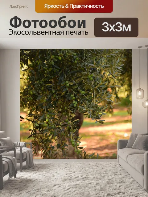 Фотообои Оливки