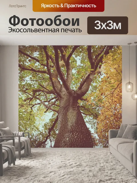 Фотообои Деревья
