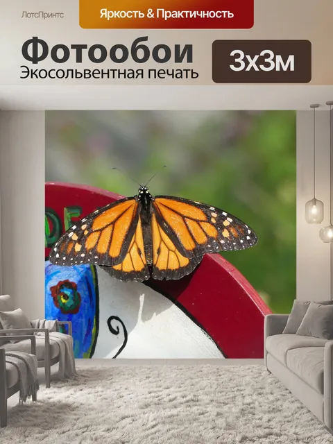 Фотообои Бабочка
